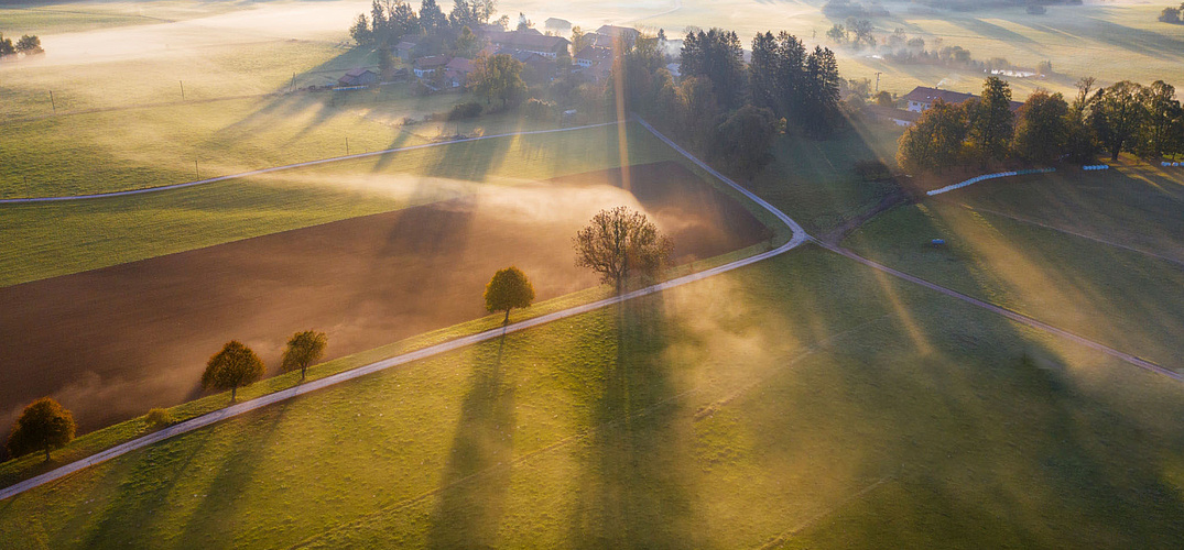 GettyImages Sonnenaufgang über Wiese